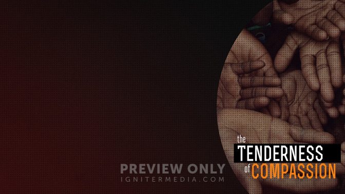 The_Tenderness_of_Compassion_16x9-CONTENT-2#preset=tg_alt2.jpg