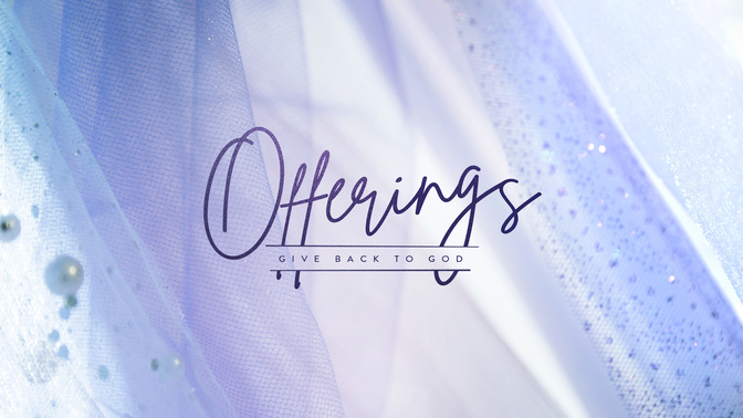 bright fabrics - offerings