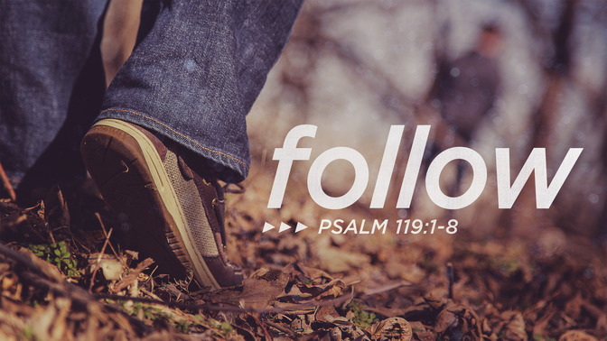 follow