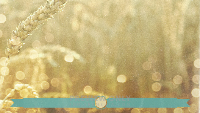 Wheat_Field_-_Tithes_and_Offerings_16x9-BACKGROUND#preset=tg_bg.jpg