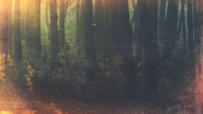 Revival-WIDE#preset=tg_alt2.jpg