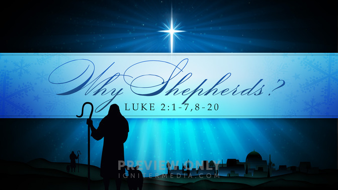 why shepherds?