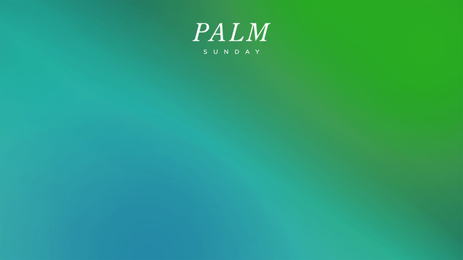 Palm-WIDE#preset=tg_alt1.jpg
