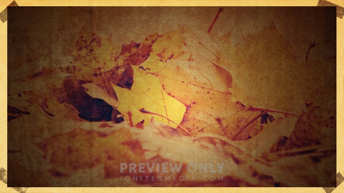 Vintage_De_La_Cada_-_D_Las_Gracias_16x9-BACKGROUND#preset=tg_bg.jpg