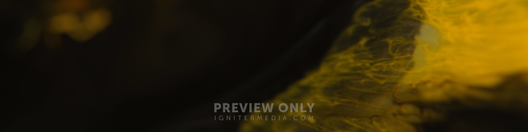 Mind_1920x480.jpg