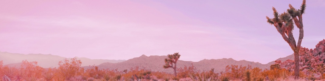 Desert_Pink_04_UW_SD.jpg