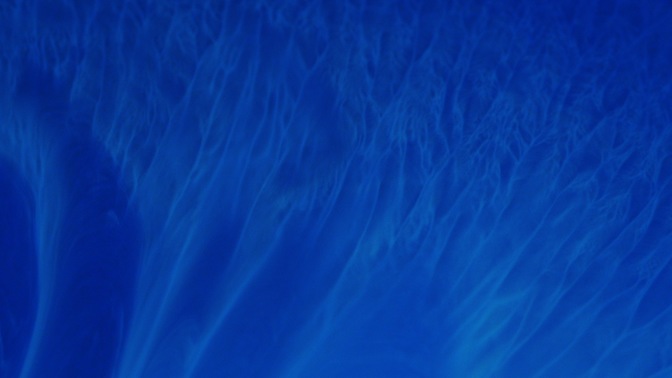 x paint - blue