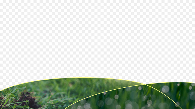 Sun_Wave_L3_TH_Summer_Outreach-New_WIDE#preset=tg_transparent_png_preview.jpg