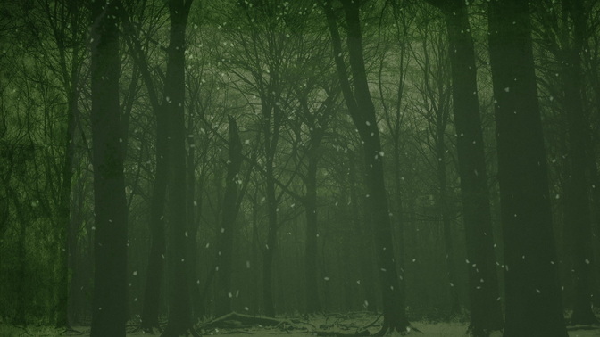 Muted_Christmas_Green_HD.jpg