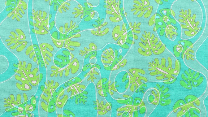 Coral_Colors_Green_HD.jpg
