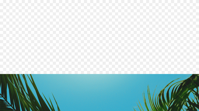 PalmSundayTitle_WIDE#preset=tg_lower_third_preview.jpg