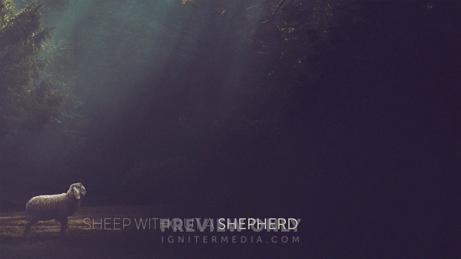 Sheep_Without_A_Shepherd_WIDE-CONTENT-2#preset=tg_alt2.jpg