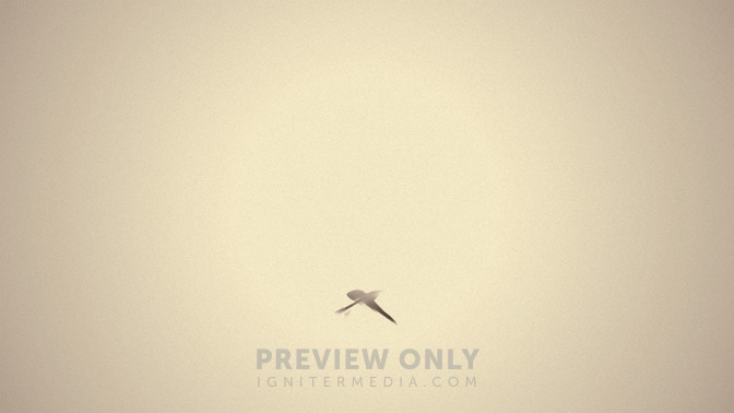 Ash_Wednesday_16x9-CONTENT-3#preset=tg_alt3.jpg