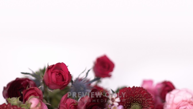 Spring_Floral_Flowers_Pass_HD.jpg