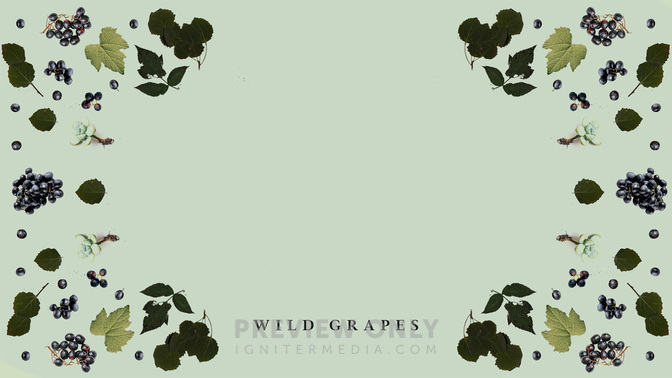 Wild_Grapes_WIDE-CONTENT-2#preset=tg_alt2.jpg