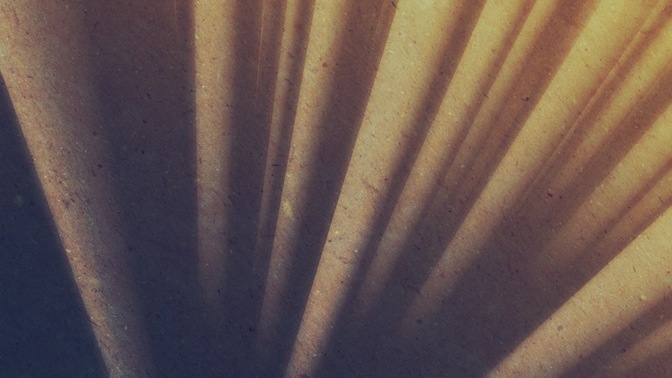 Lines_Spin_-_Yellow_16x9.jpg