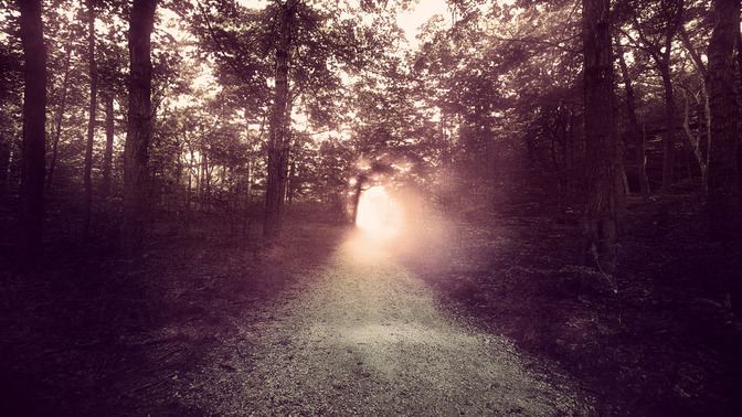Light_Walkers_16x9-TITLE-3#preset=tg_title3.jpg