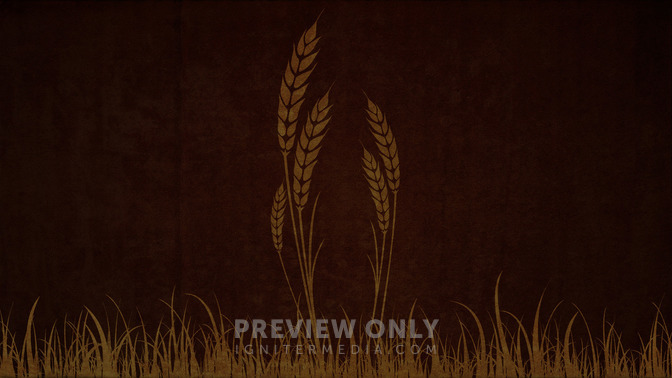 Wheat_-_Welcome_To_Church_16x9-BACKGROUND#preset=tg_bg.jpg
