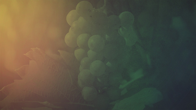 Parable_of_the_Vineyard_16x9-CONTENT-3#preset=tg_alt3.jpg
