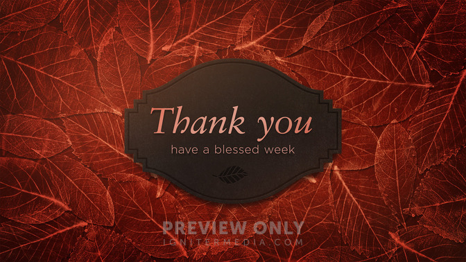 fancy leaves - thank you