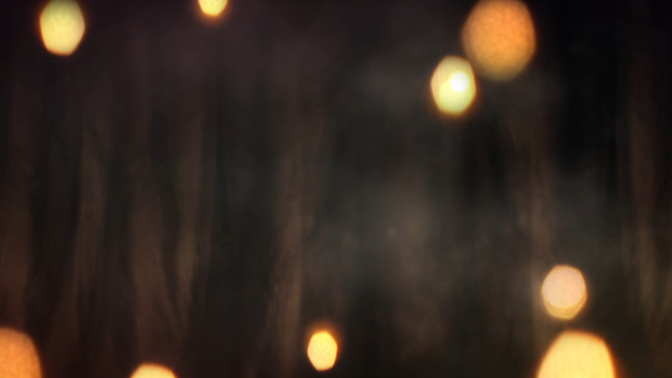 Lights and Backdrop.jpg