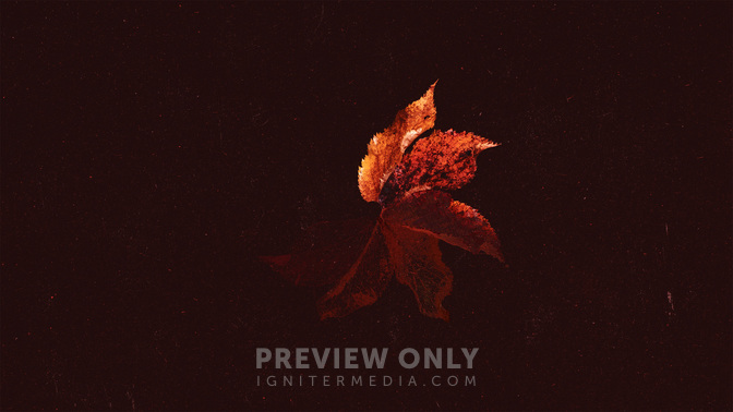 FallBackcircle-MASTER-WIDE#preset=tg_title3.jpg