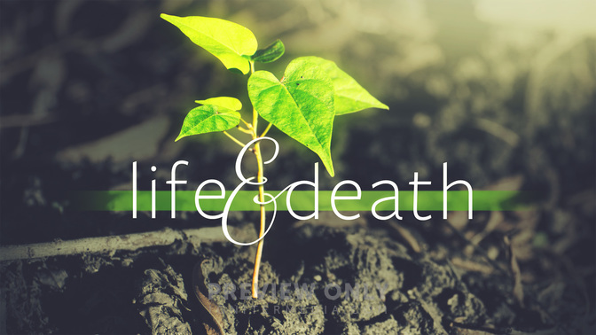 Life_And_Death_WIDE-TITLE-2#preset=tg_title2.jpg