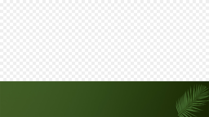 PalmWelcome-WIDE#preset=tg_transparent_png_preview.jpg