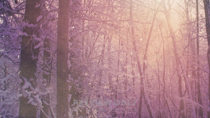 Scenic_Christmas_-_Forest_16x9-TITLE-1#preset=tg_title1.jpg