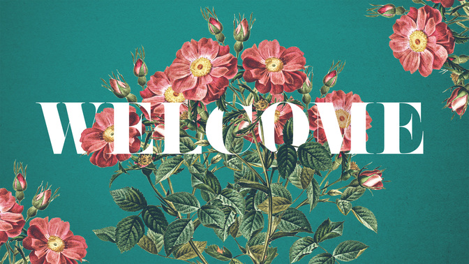 floral burst - welcome