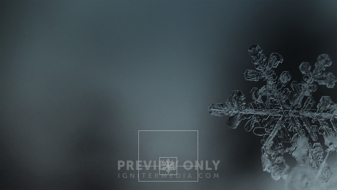 Weather_Alert_WIDE-CONTENT-3#preset=tg_alt3.jpg