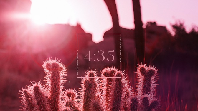 Desert_Pink_Countdown_03_HD.jpg