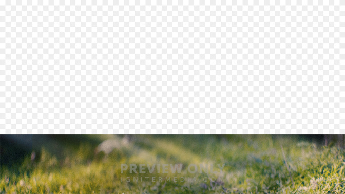 Goodbye-WIDE#preset=tg_transparent_png_preview.jpg