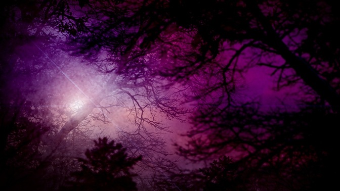 nature dawn purple