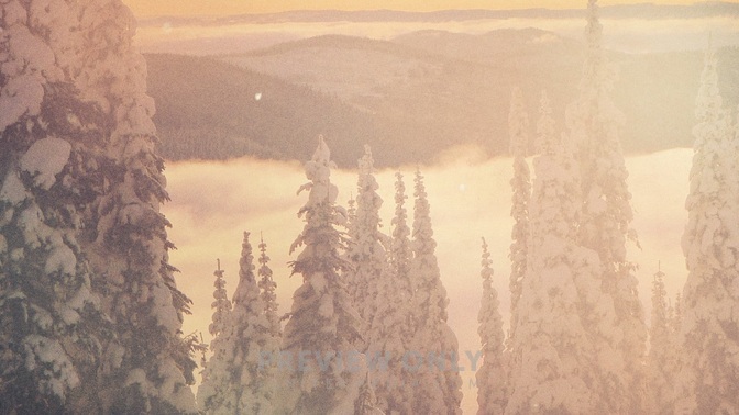 Scenic_Christmas_-_Tree_Tops_16x9-TITLE-1#preset=tg_title1.jpg
