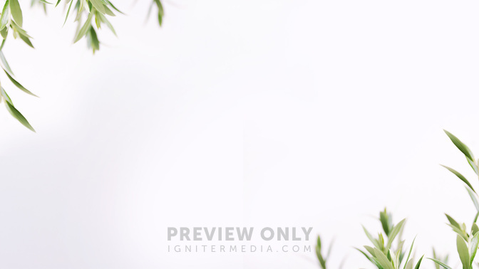 FruitoftheSpirit_FruitoftheSpirit_Alt2_Welcome_WIDE#preset=tg_alt2.jpg
