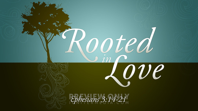 rooted in love