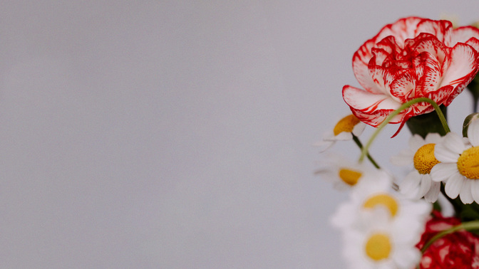 Floral_Details_Floral_Details_TT3_Goodbye_WIDE#preset=tg_title3.jpg