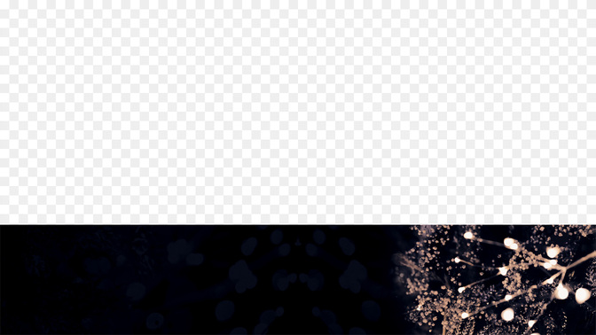 Paz-WIDE#preset=tg_transparent_png_preview.jpg