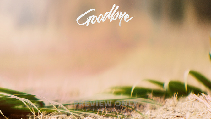 Goodbye-WIDE#preset=tg_alt1.jpg