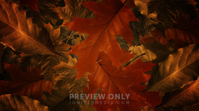 Welcome_16x9-CONTENT-3#preset=tg_alt3.jpg