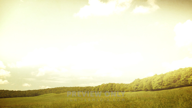 GrassyMeadow-Trees1920x1080.jpg