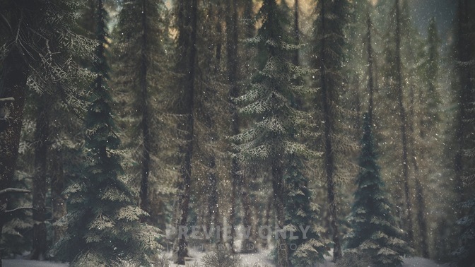 Winter_Wonderland_6_HD.jpg