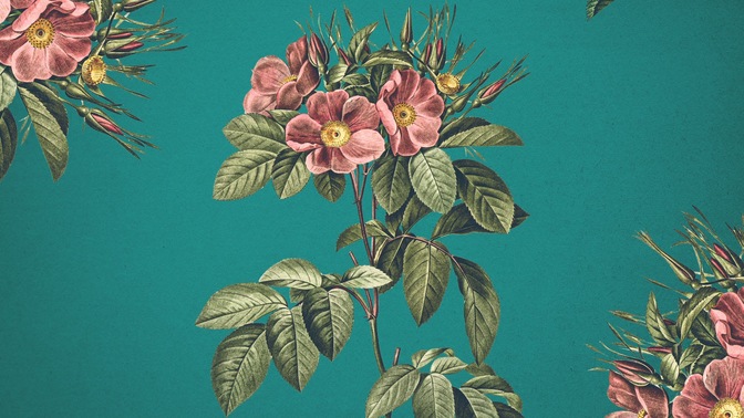 floral burst 3