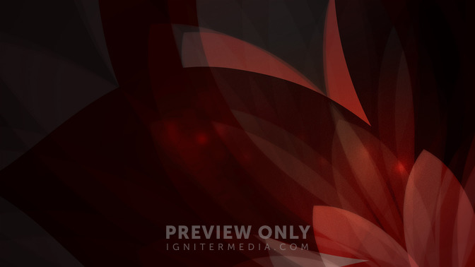 Elegant_Leaves_-_Coming_Up_16x9-BACKGROUND#preset=tg_bg.jpg