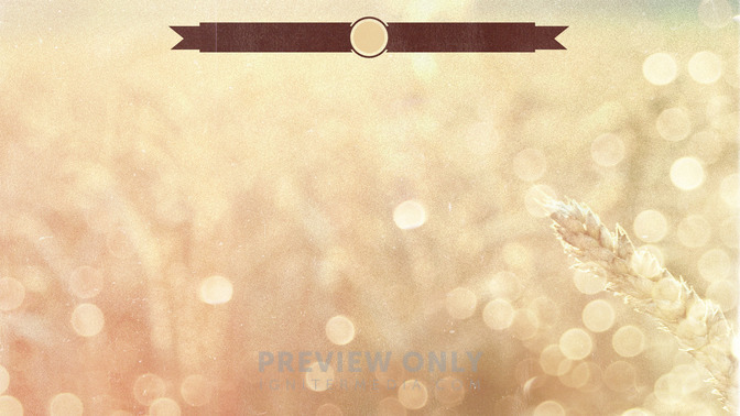 Wheat_Field_-_Welcome_To_Church_16x9-CONTENT-3#preset=tg_alt3.jpg