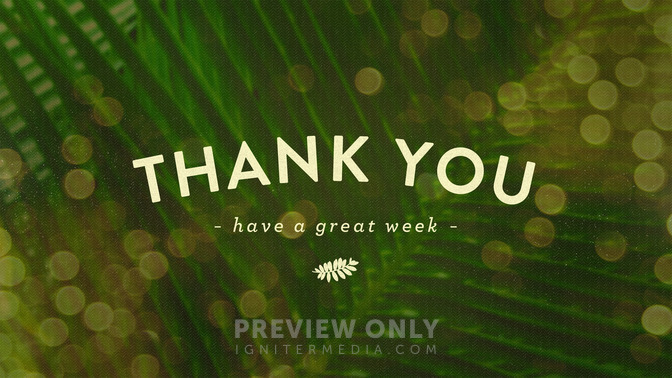 palm bokeh - thank you