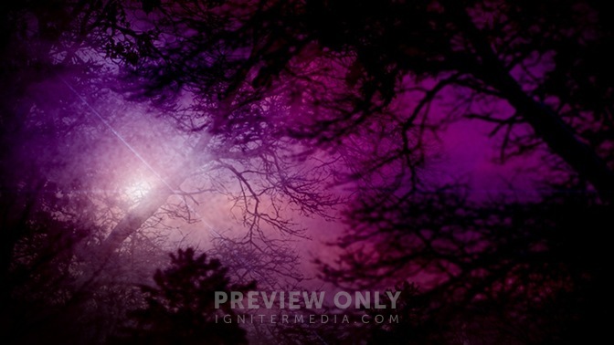Nature_Dawn_Purple_16x9.jpg