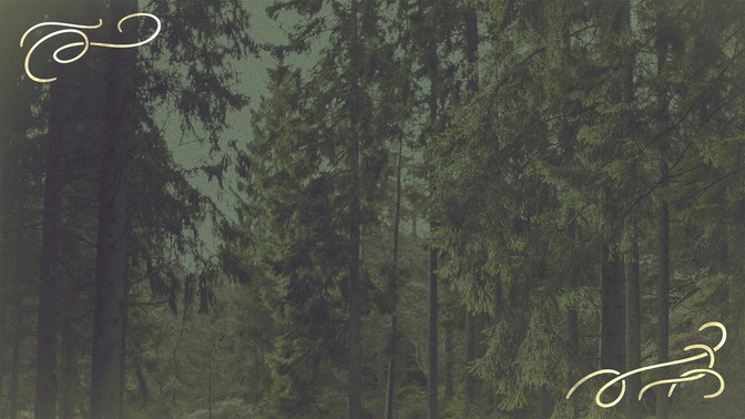 Summer_Camp_16x9-BACKGROUND#preset=tg_bg.jpg