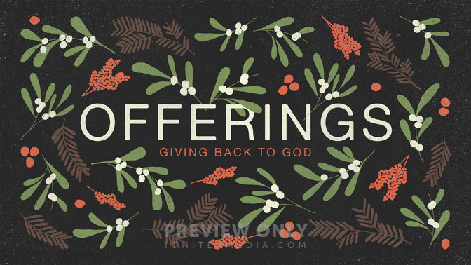 christmas pine - offerings